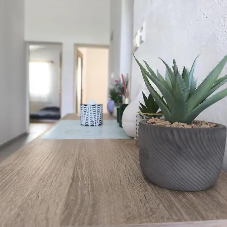 Large For 8 People Apartment